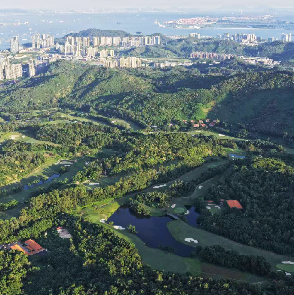 南沙湾，这座屹立于粤港澳大湾区几何中心的滨海新城，历经多年精耕细乍，已被成熟的教育配套、便捷交通与生态资源浸润。如今，南沙湾正以年轻城脉与生活配套，承接更从容、更有质感的人居想象