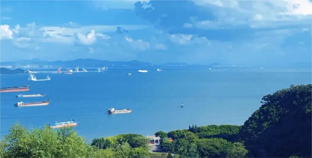 南沙湾，这座屹立于粤港澳大湾区几何中心的滨海新城，历经多年精耕细乍，已被成熟的教育配套、便捷交通与生态资源浸润。