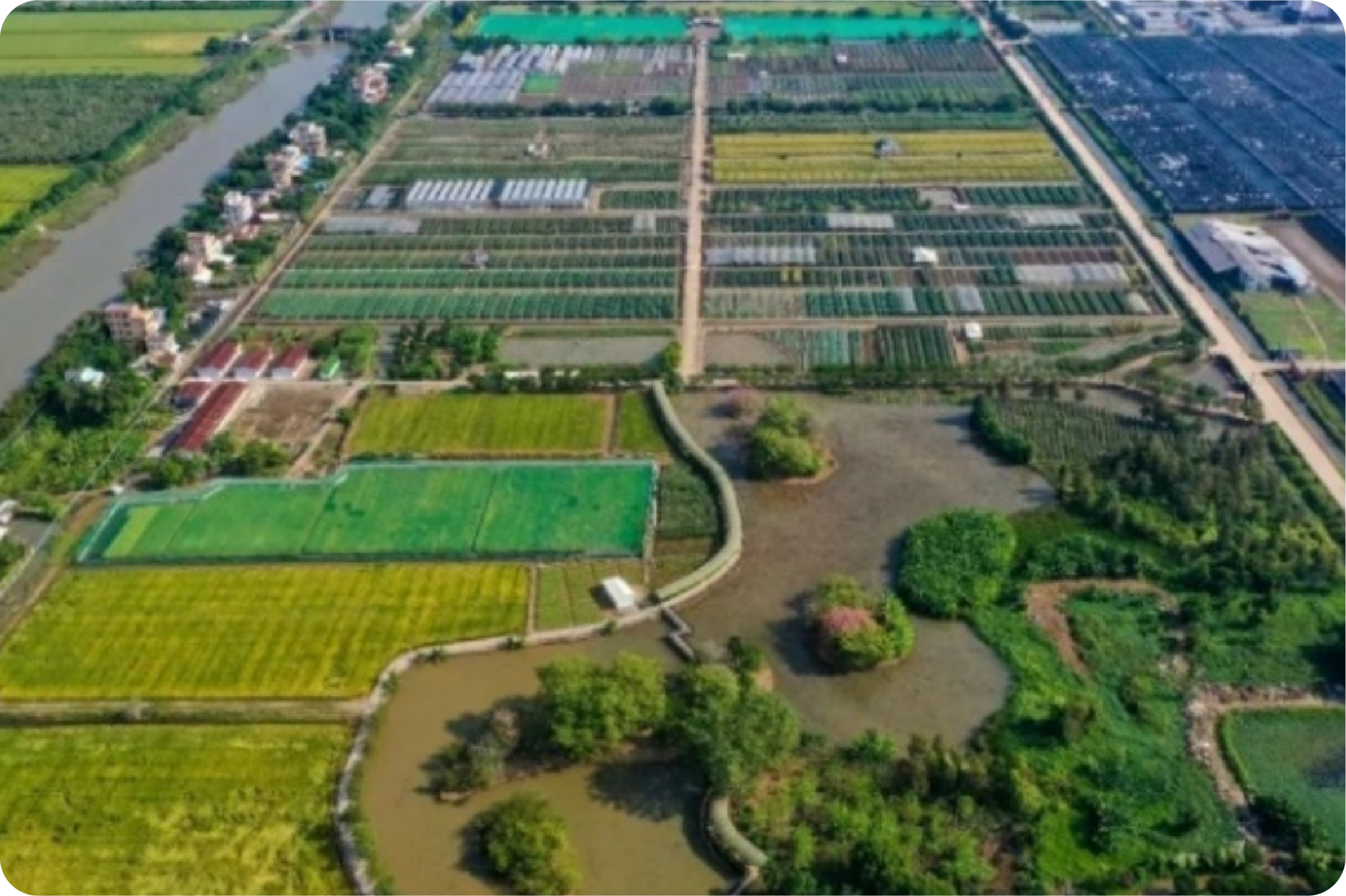 广州市农业科学研究院（南沙总部基地；全国科普教育基地）图片