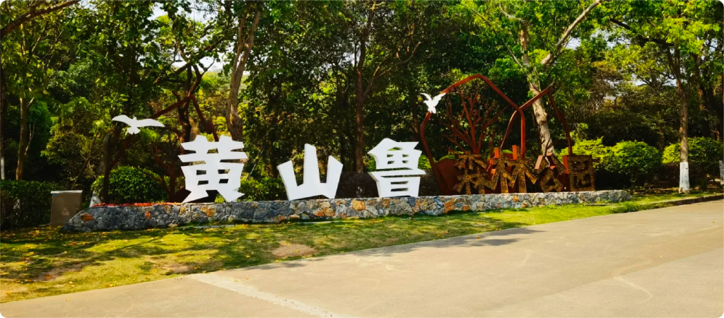 黄山鲁森林公园 | 离城市很近的天然氧吧
