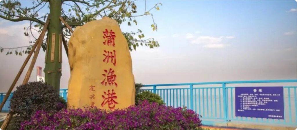 蒲洲渔港 | 古老渔港化身浪漫码头